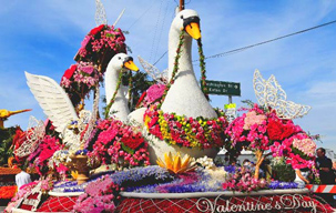 Венгрия. Цветочный карнавал