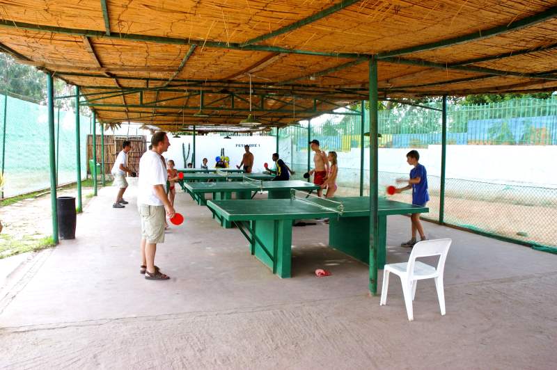 Территория настольного тенниса