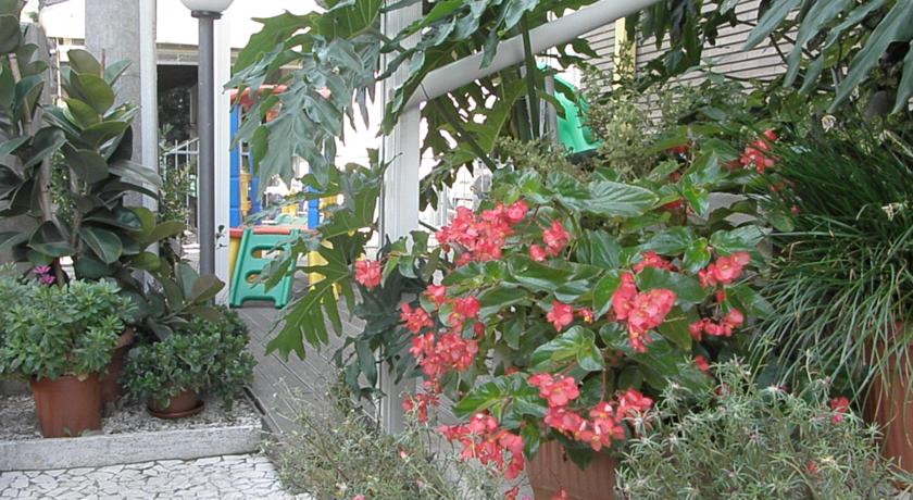 Маленький сад вокруг отеля