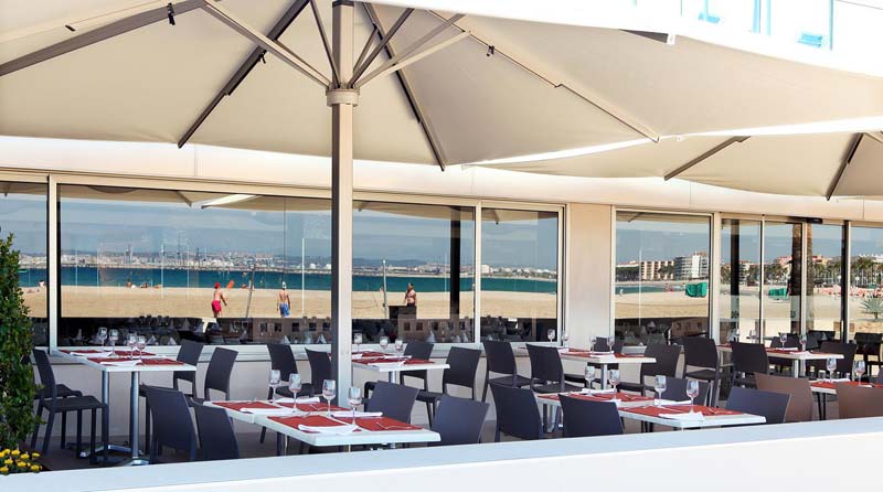 Golden Donaire Europeo