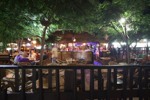 Бар рядом с отелем