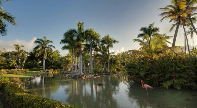 В саду отеля