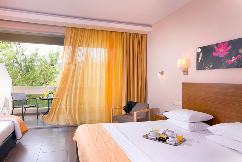 Aeolis Thassos Palace Hotel