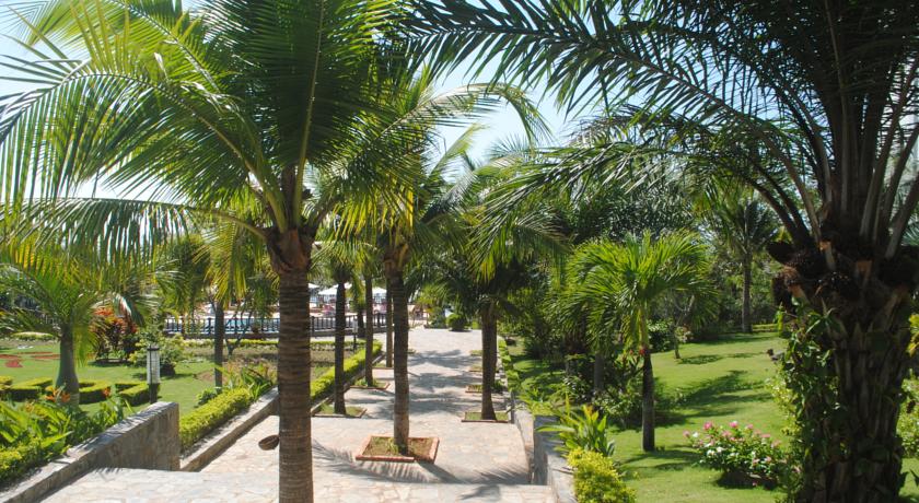 Аллея в саду