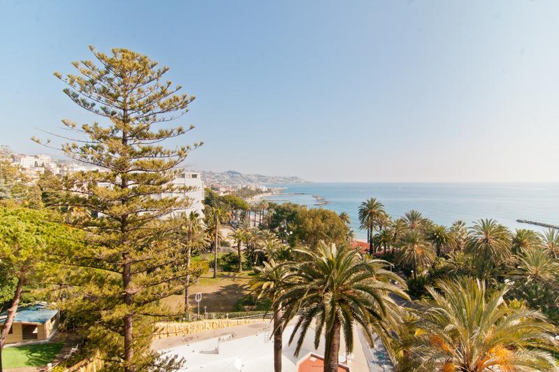 Сад вокруг отеля