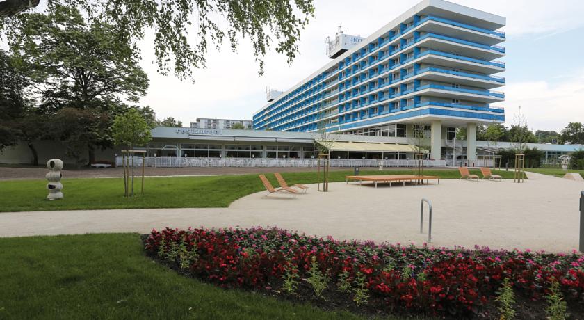 Территория  отеля с садом