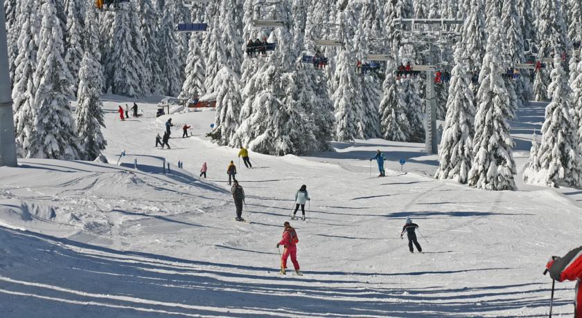 Склон горы Копаоник