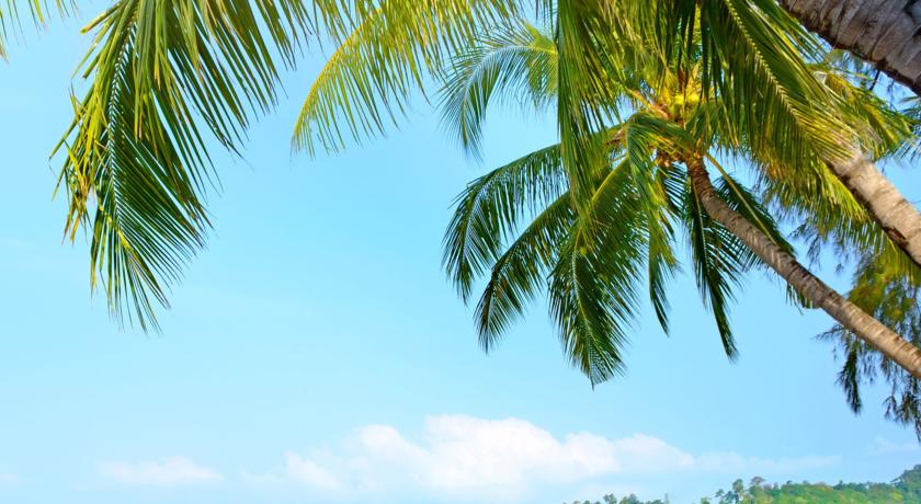 Вокруг отеля очень живописная природа