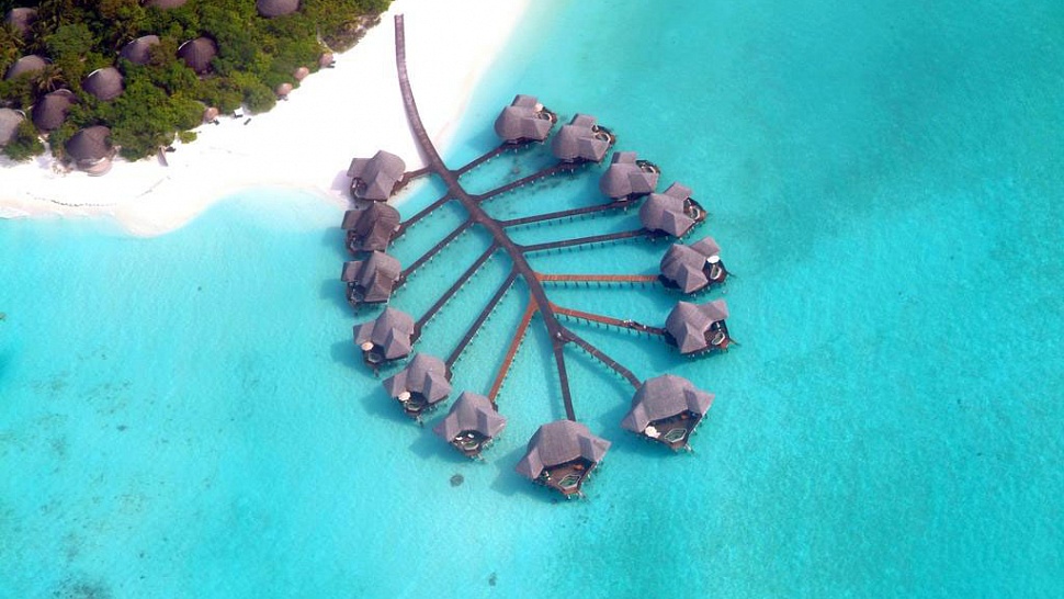 Coco Palm Dhuni Kolhu