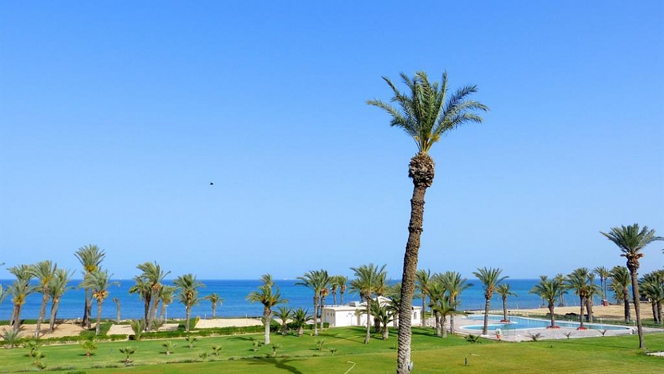 Территория отеля