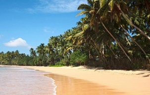 Тур на Шри-Ланку, Маравила, Sanmali Beach Hotel 2+★