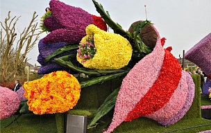 Нидерланды. Парад цветов в Аалсмеере