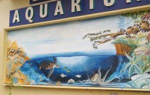 Diamond Apartments & Suites