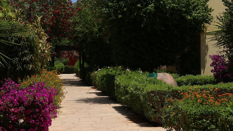 В саду отеля