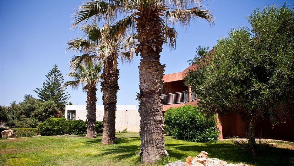 В саду отеля