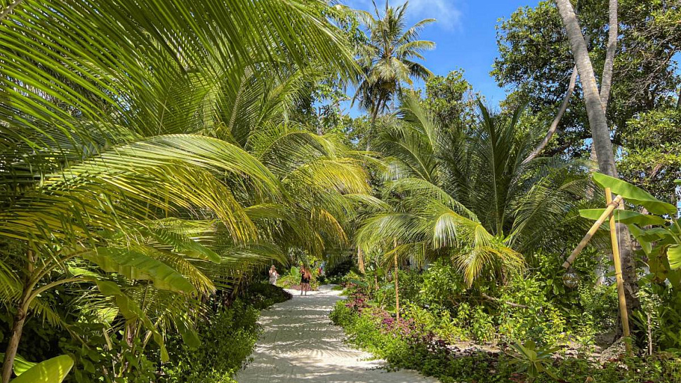 Malahini Kuda Bandos
