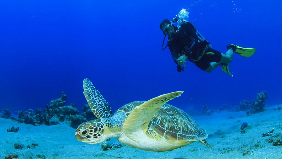 Olhuveli Beach & SPA Resort