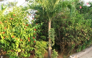 Carana Hilltop Villa